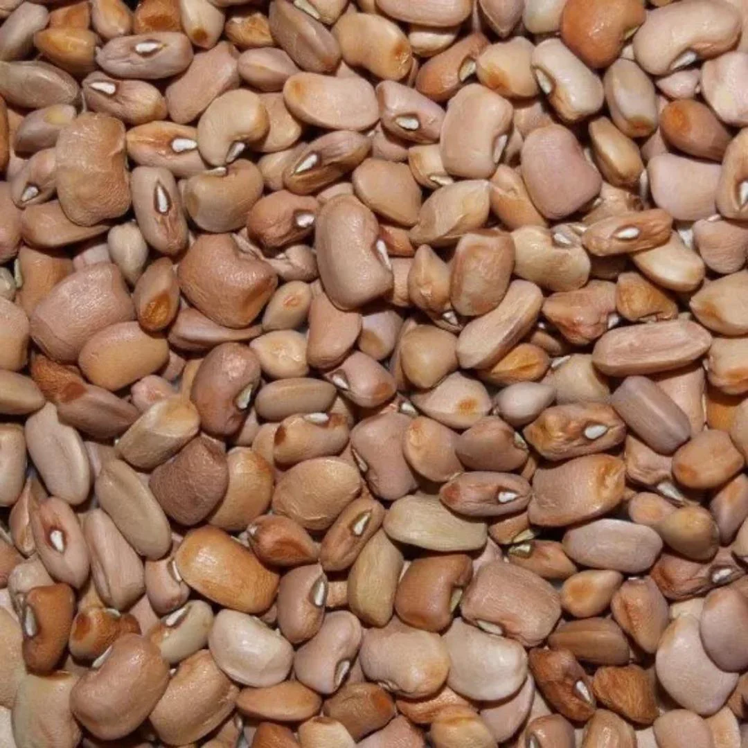 Kovafood Honey Beans/ Ewa Oloyin - Image 5