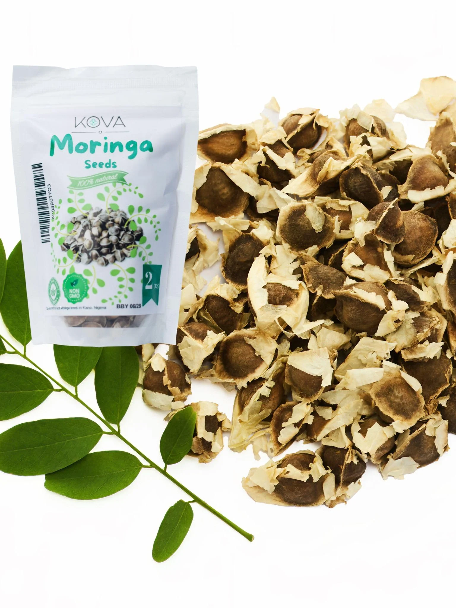 Kovafood Moringa Seeds for Planting and Snacking. 8oz Aprrox. 1000 Seeds. I Edible I Planting I Moringa Oleifera - Image 2